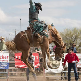Rodeo Image 1