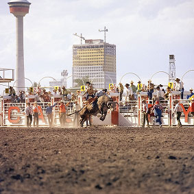 Rodeo Image 10