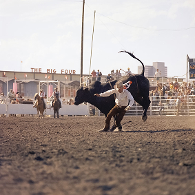 Rodeo Image 11