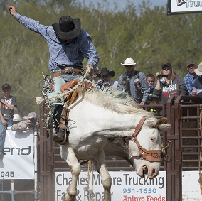 Rodeo Image 12