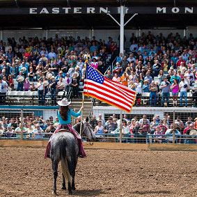 Rodeo Image 2