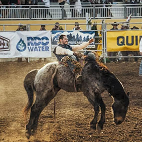 Rodeo Image 3
