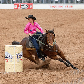Rodeo Image 4