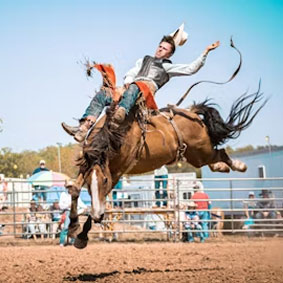 Rodeo Image 5