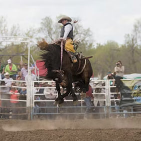 Rodeo Image 7