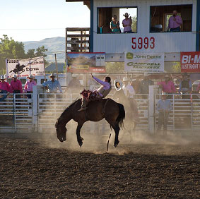 Rodeo Image 8