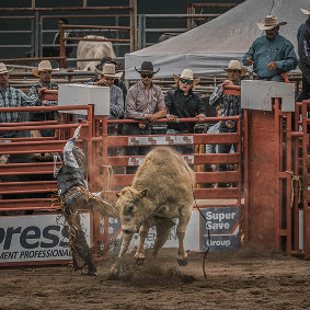 Rodeo Image 9